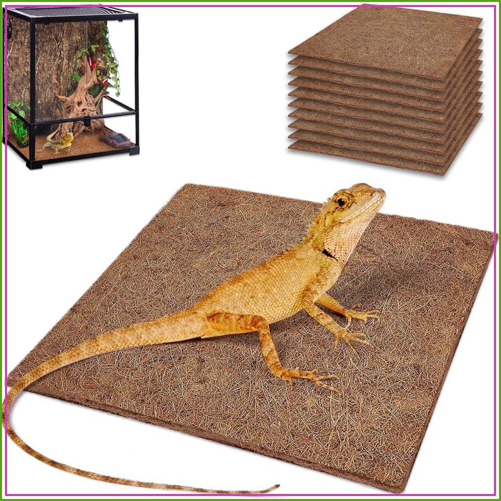 Substrate Coconut Fiber - 10 Pcs Natural Coconut Fiber Reptile
