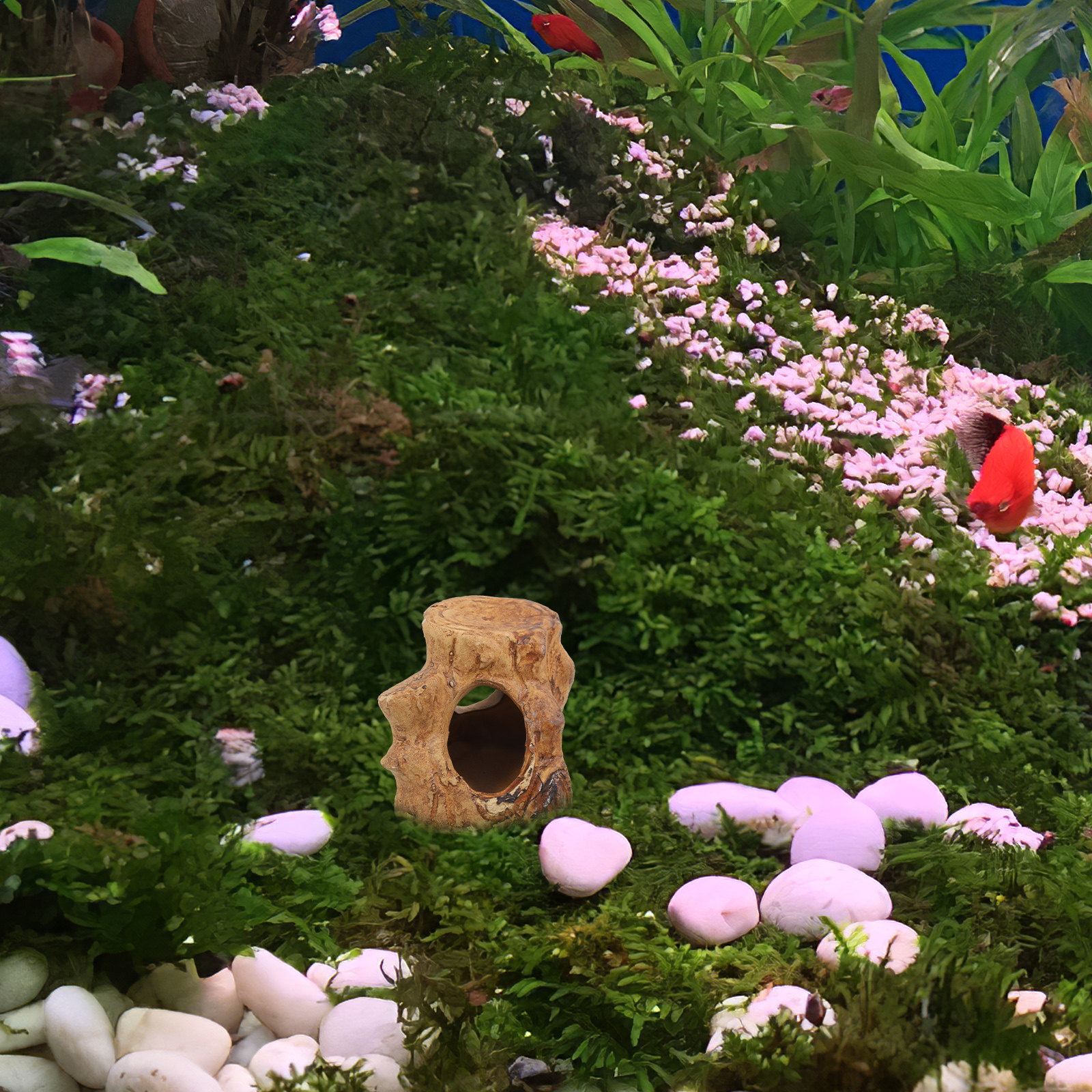 Natural Look Ceramic Fish Tank - Hide Cave Ceramic incelemesi ve fiyatı