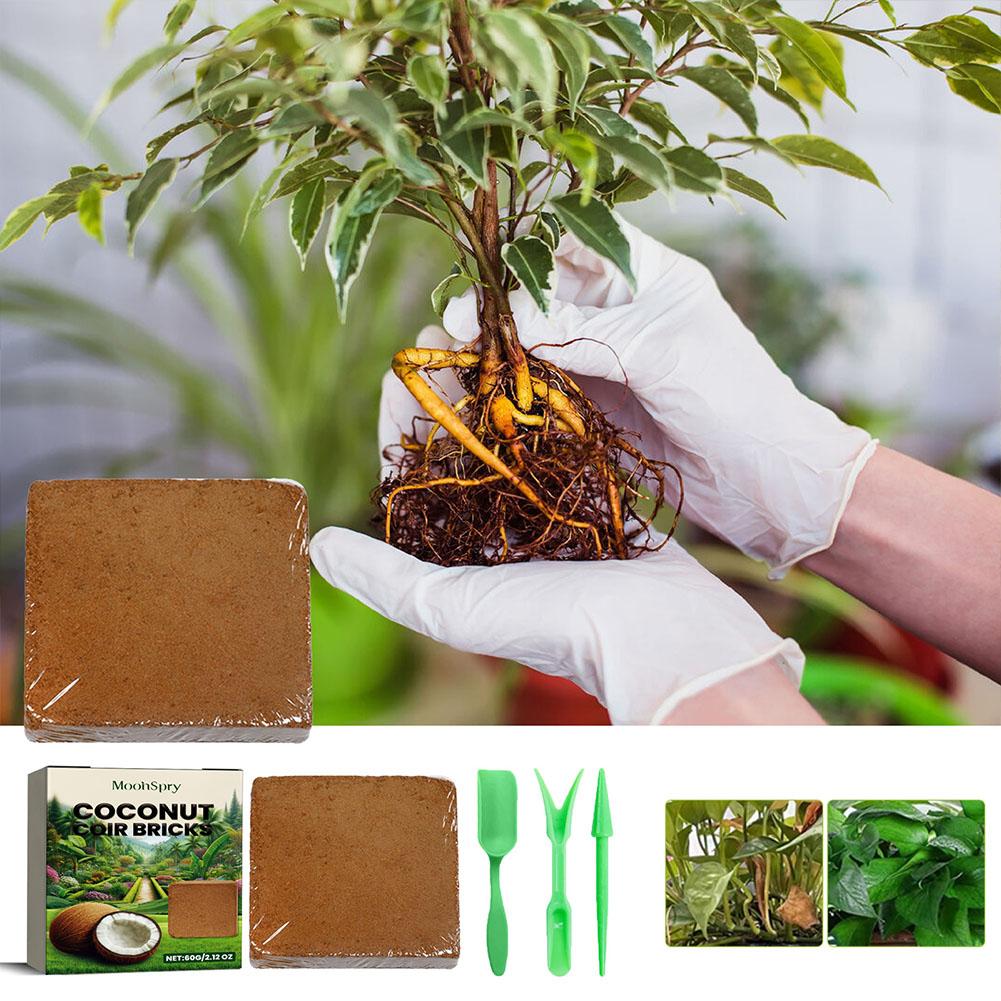 Reptile Coconut Soil Coir Pres - Substrate Coconut Fiber incelemesi ve fiyatı