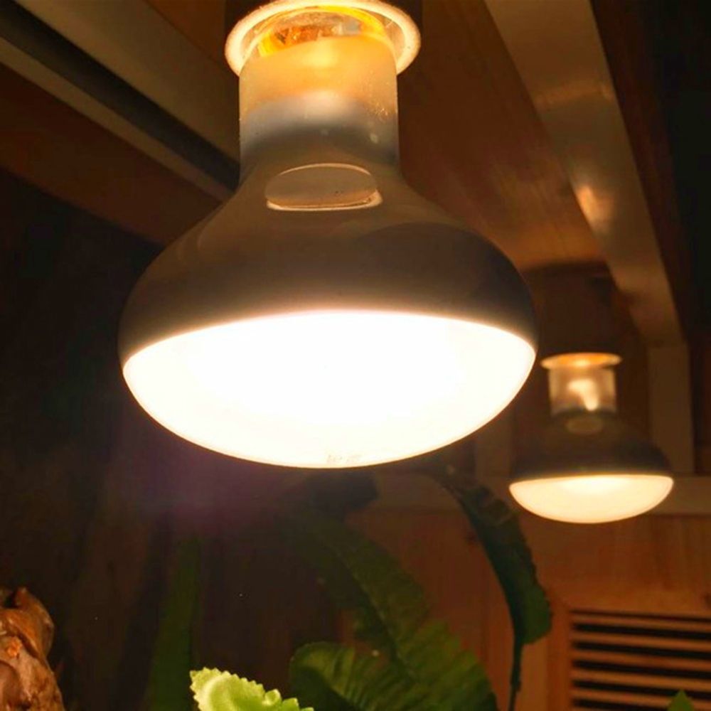 Lizard Heater Temperature Cont - Basking Bulb Halogen incelemesi ve fiyatı