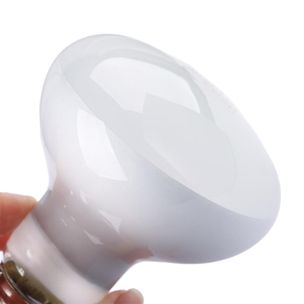 Lizard Heater Temperature Cont - Basking Bulb Halogen incelemesi ve fiyatı