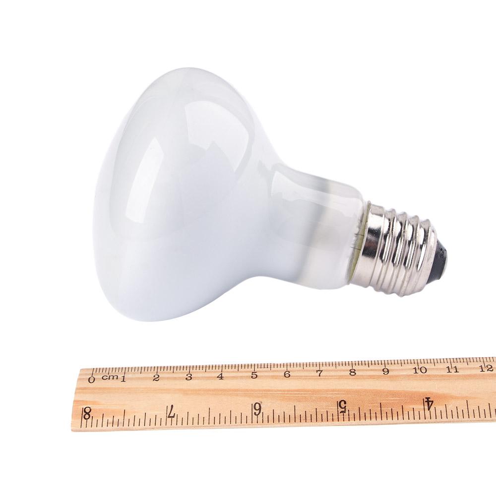 Lizard Heater Temperature Cont - Basking Bulb Halogen incelemesi ve fiyatı
