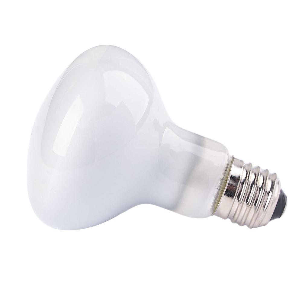 Lizard Temperature Controller  - Basking Bulb Halogen incelemesi ve fiyatı