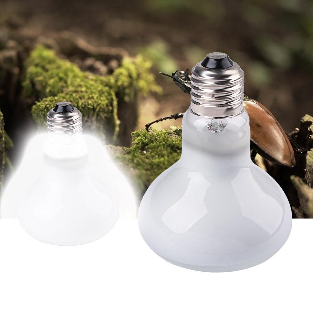 Lizard Temperature Controller  - Basking Bulb Halogen incelemesi ve fiyatı