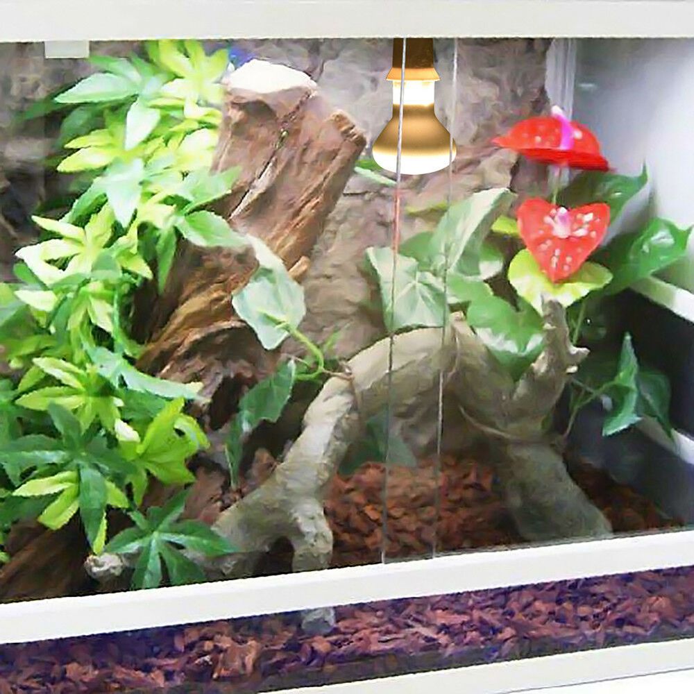 Lizard Temperature Controller  - Basking Bulb Halogen incelemesi ve fiyatı