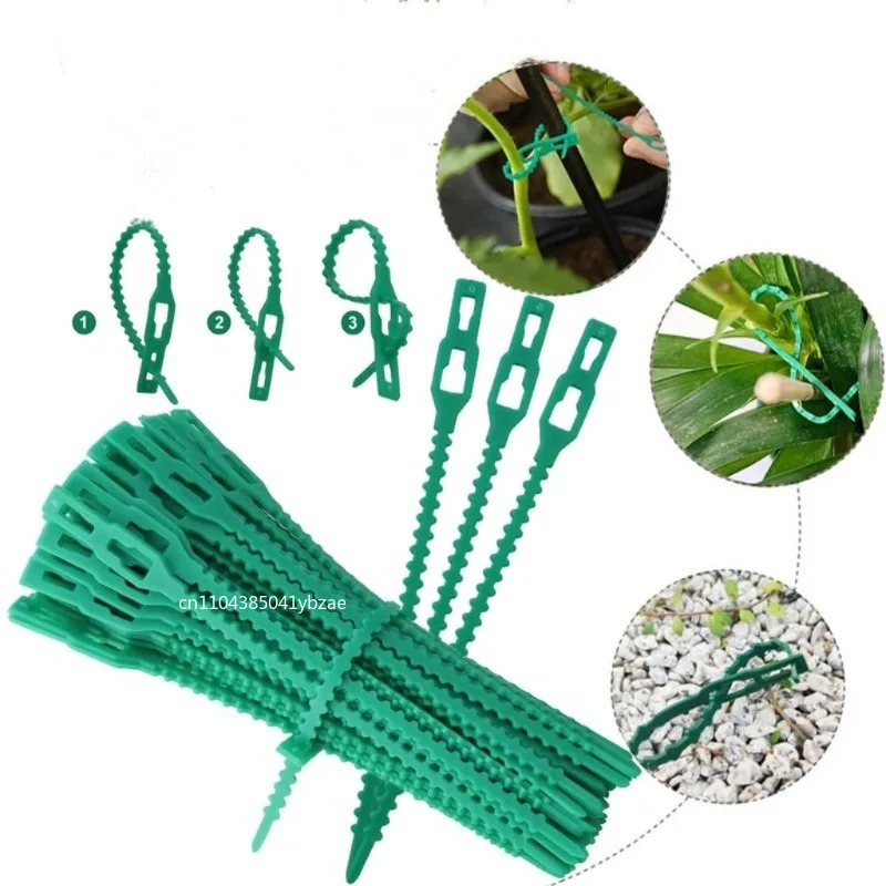 50-1000pcs Adjustable Plastic  - Vine Climbing Plastic incelemesi ve fiyatı