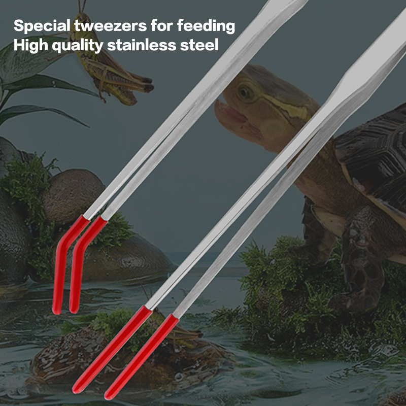 Stainless Steel Fish Tank Main - Feeding Tong Stainless incelemesi ve fiyatı