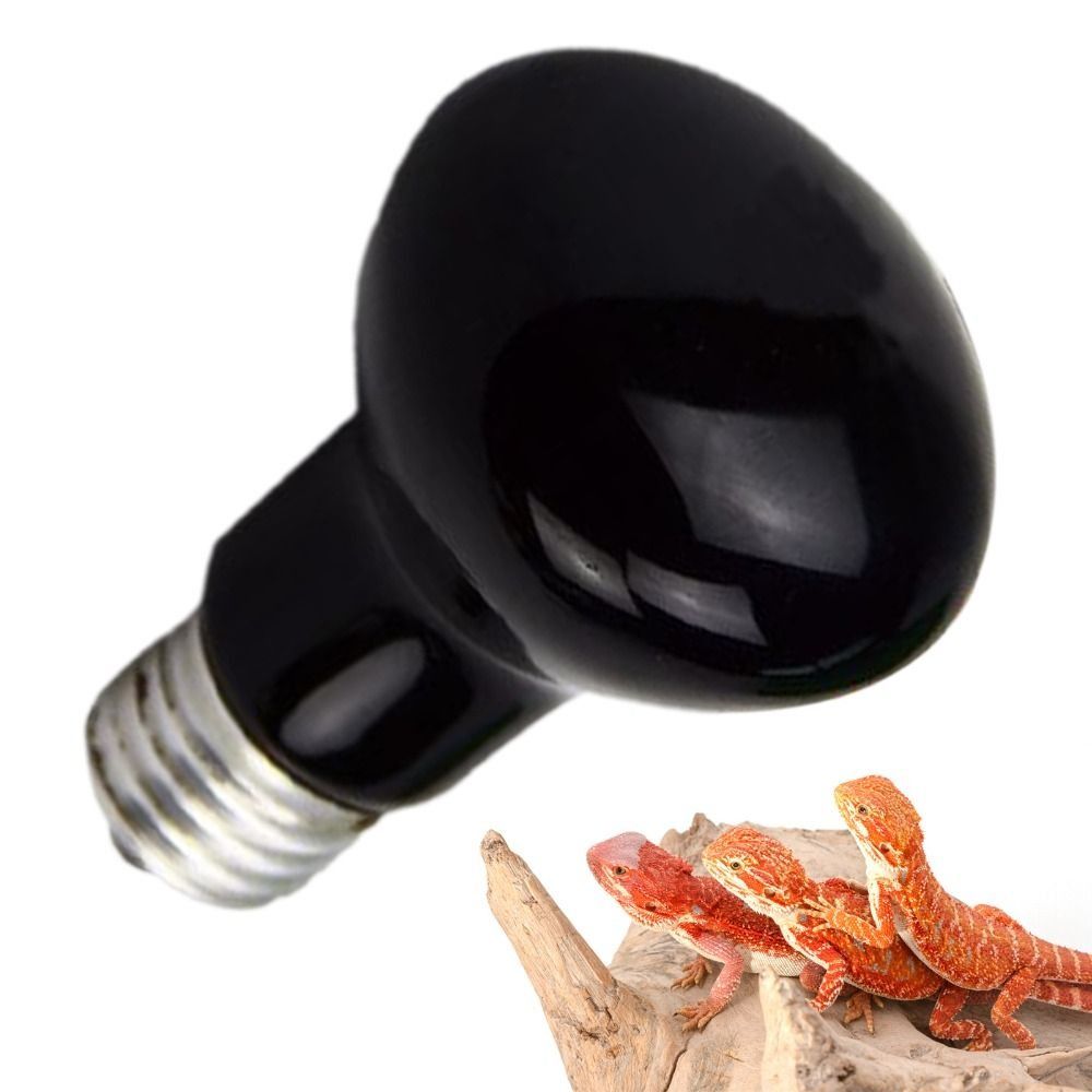 Infrared Led Pet Heating Lamp  - Ceramic Heat Emitter incelemesi ve fiyatı