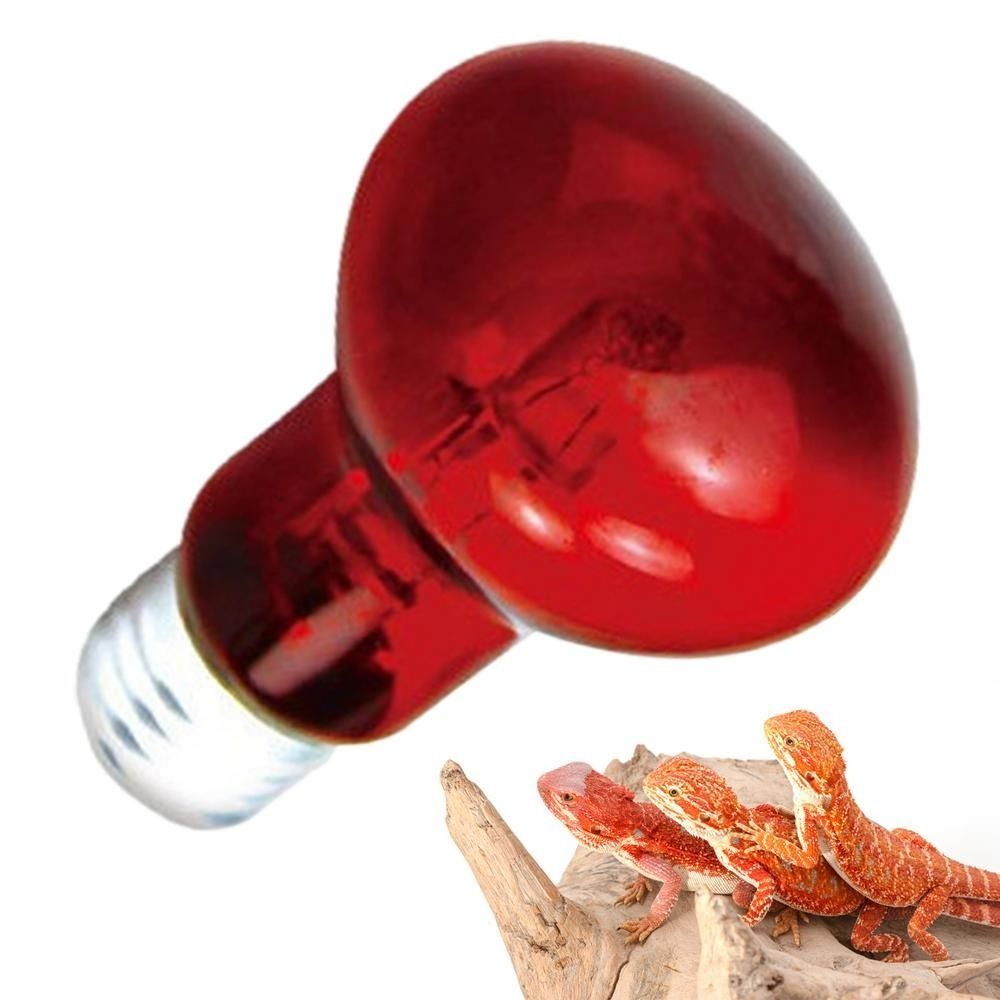Infrared Led Pet Heating Lamp  - Ceramic Heat Emitter incelemesi ve fiyatı