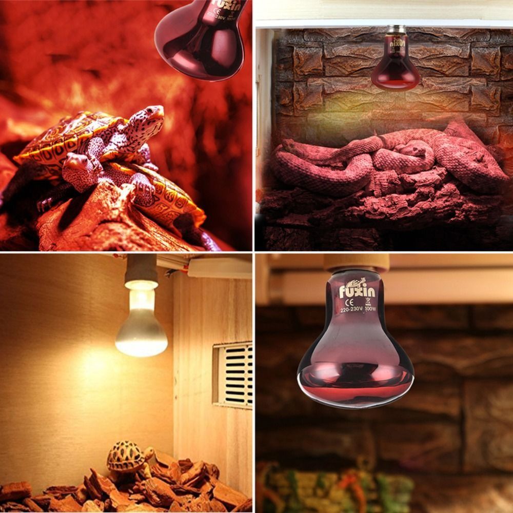 Infrared Led Pet Heating Lamp  - Ceramic Heat Emitter incelemesi ve fiyatı
