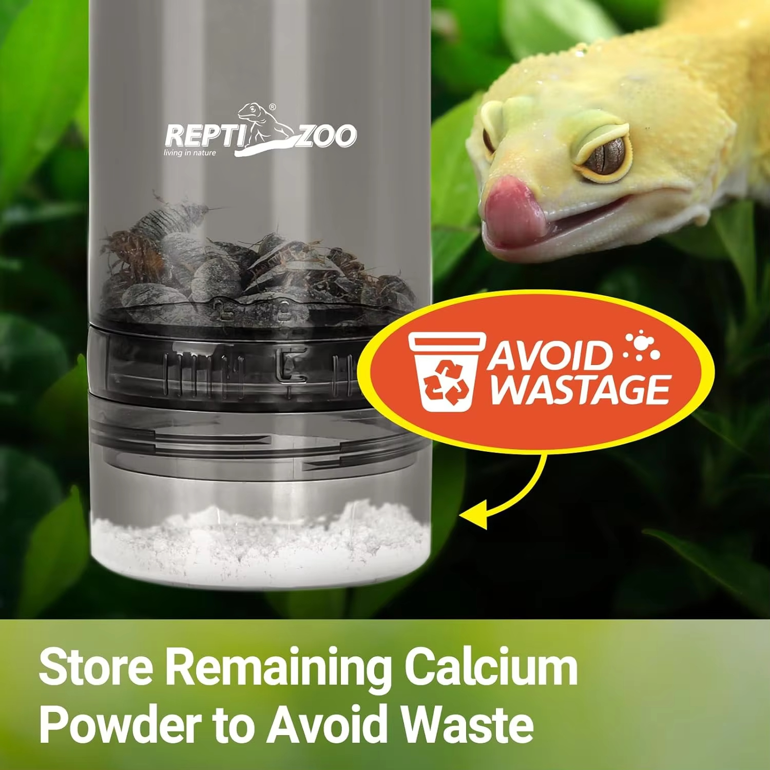 Reptile Calcium Powder Mixing  - Calcium Powder Reptile incelemesi ve fiyatı