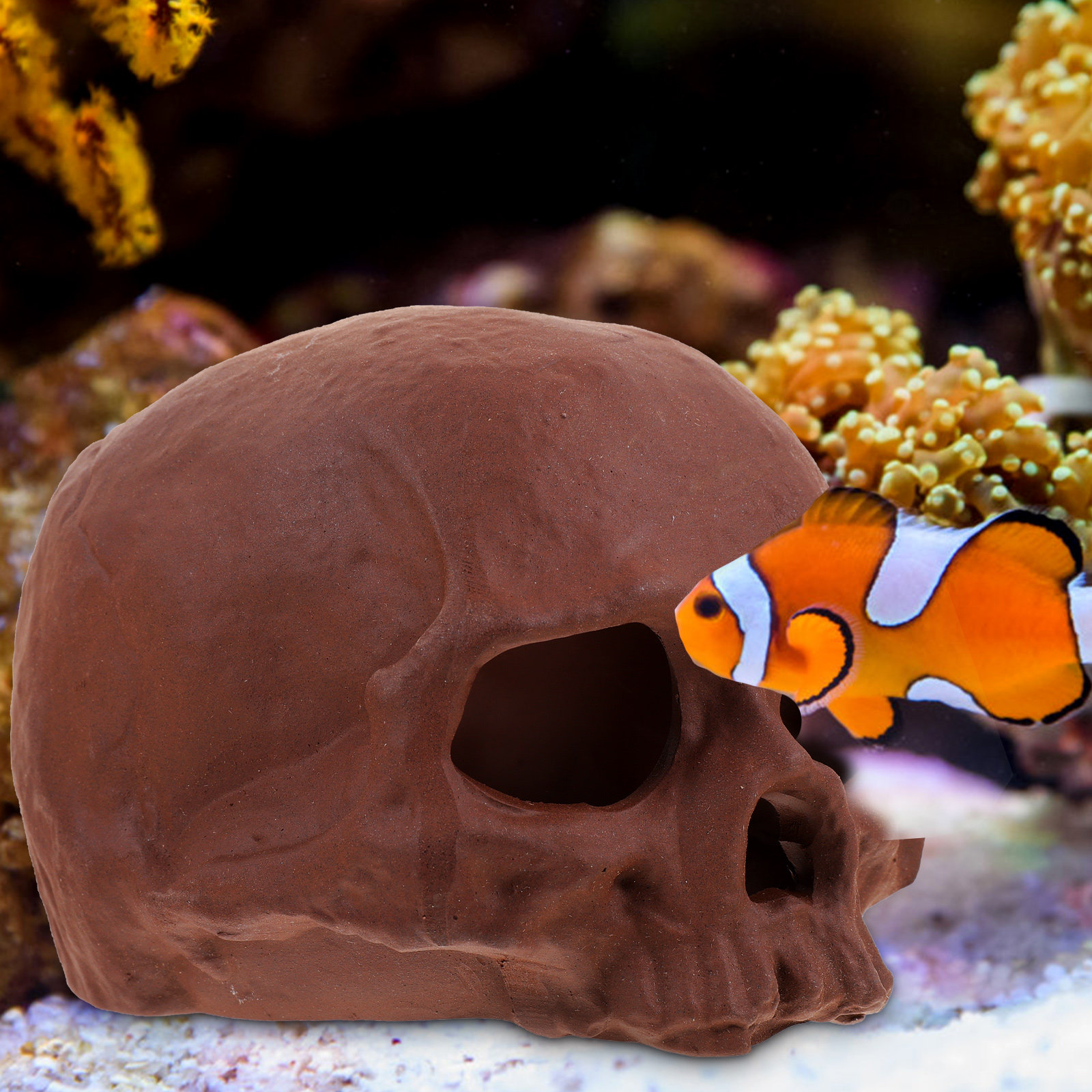 Ceramic Fish Tank Decoration S - Hide Cave Ceramic incelemesi ve fiyatı