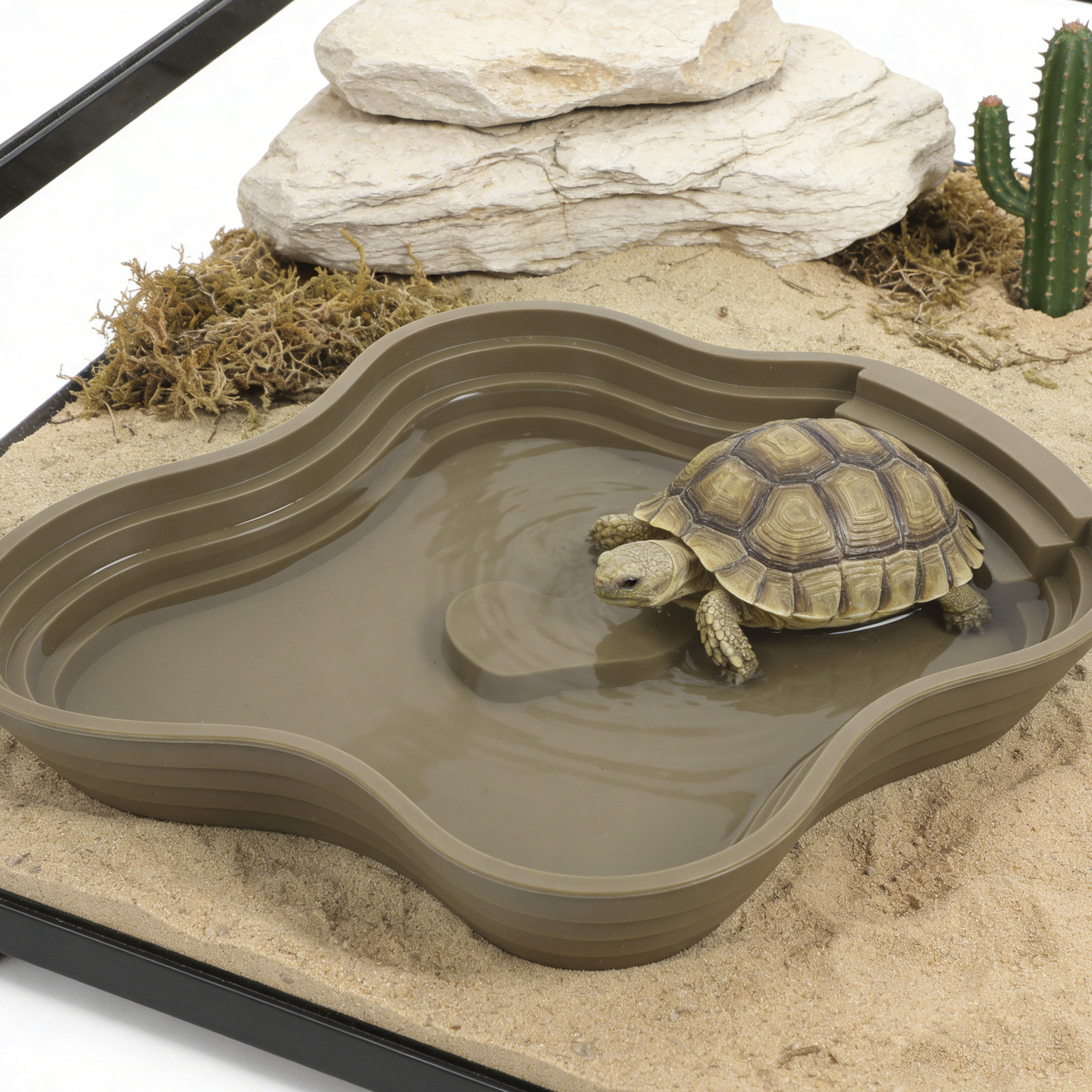 Large Turtle Reptile Bathing P - Water Dish Reptile incelemesi ve fiyatı