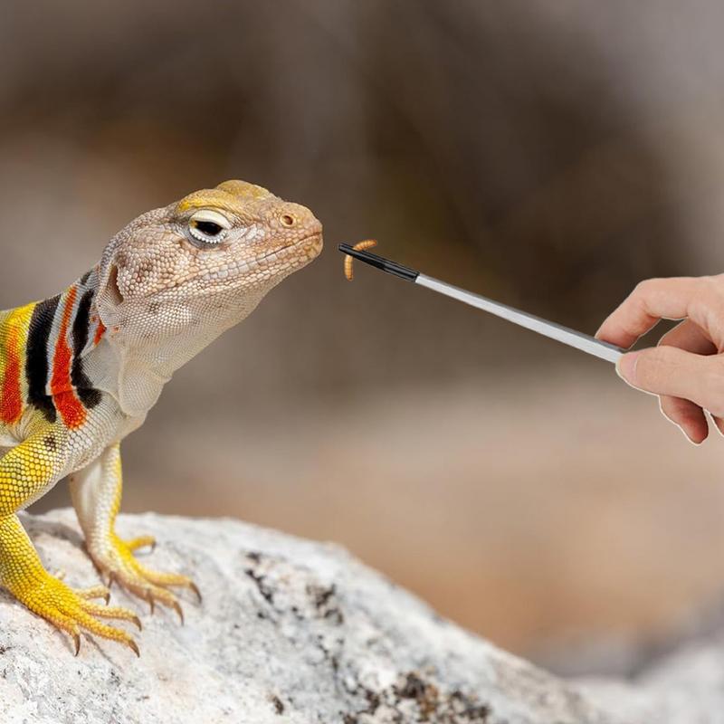Extra Long Reptile Feeding Ton - Feeding Tong Stainless incelemesi ve fiyatı