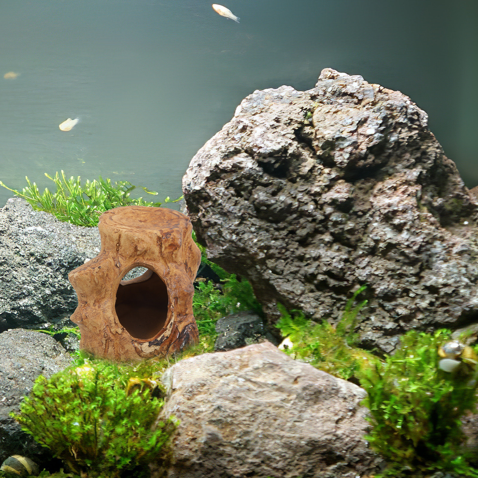 Pleco Caves for Aquarium Fish  - Hide Cave Ceramic incelemesi ve fiyatı