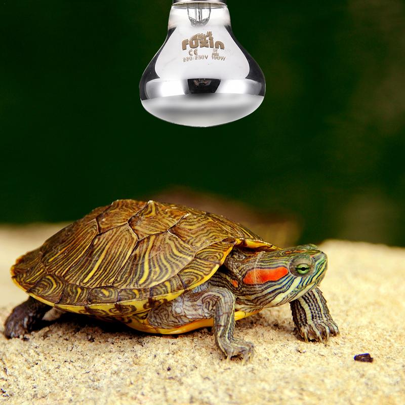 Pet Heating Lamp E27 Day Night - Ceramic Heat Emitter incelemesi ve fiyatı
