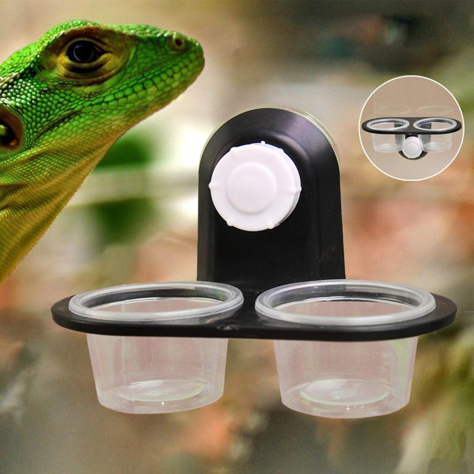 Gecko Food Dish Gecko Feeding  - Water Dish Reptile incelemesi ve fiyatı