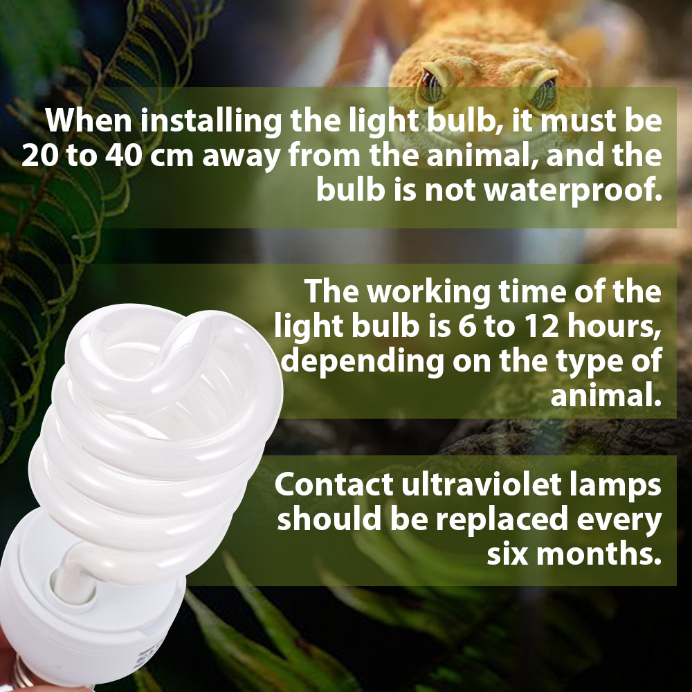 26W Pet Box Lamp Calcium Suppl - Calcium Powder Reptile incelemesi ve fiyatı