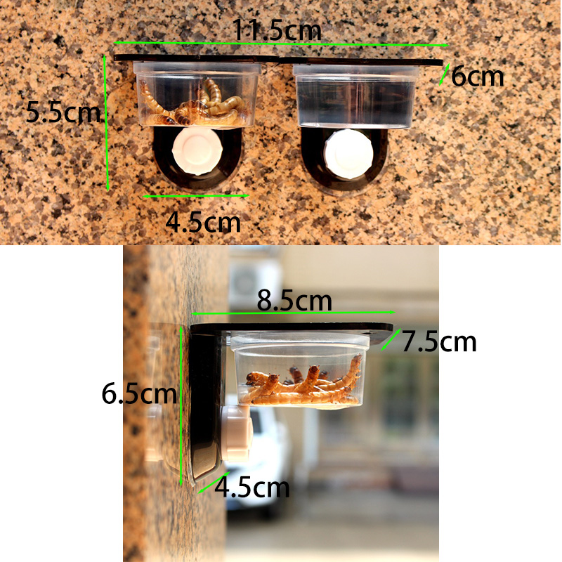 Reptile Tank Accessories Insec - Water Dish Reptile incelemesi ve fiyatı