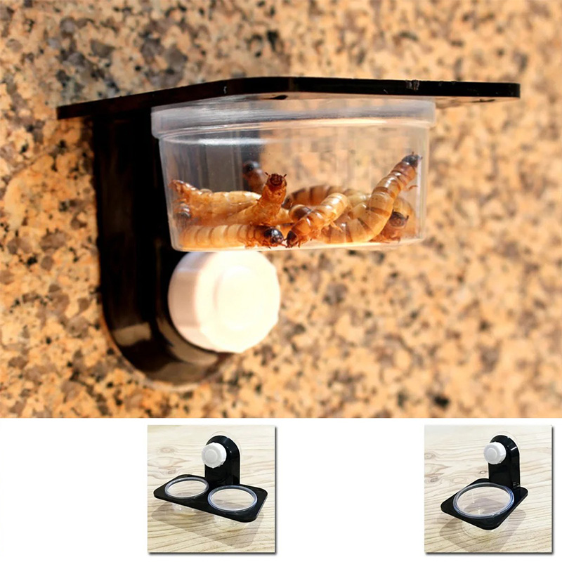 Reptile Tank Accessories Insec - Water Dish Reptile incelemesi ve fiyatı