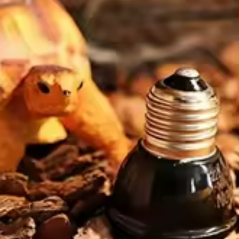 Reptile Ceramic Heat Emitter M - Ceramic Heat Emitter incelemesi ve fiyatı