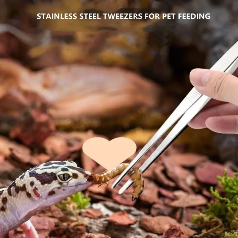 Stainless Multifuctional Steel - Feeding Tong Stainless incelemesi ve fiyatı