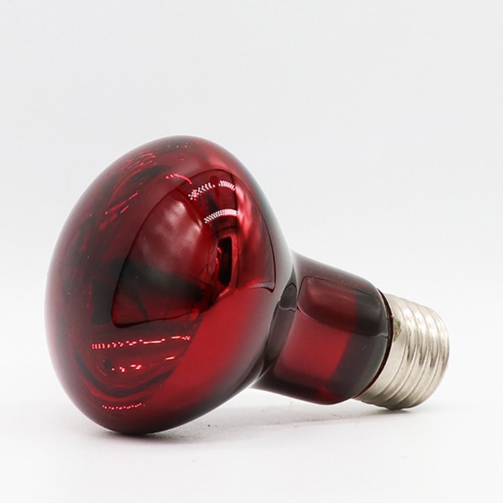 Night Light UVA Led Pet Heatin - Ceramic Heat Emitter incelemesi ve fiyatı