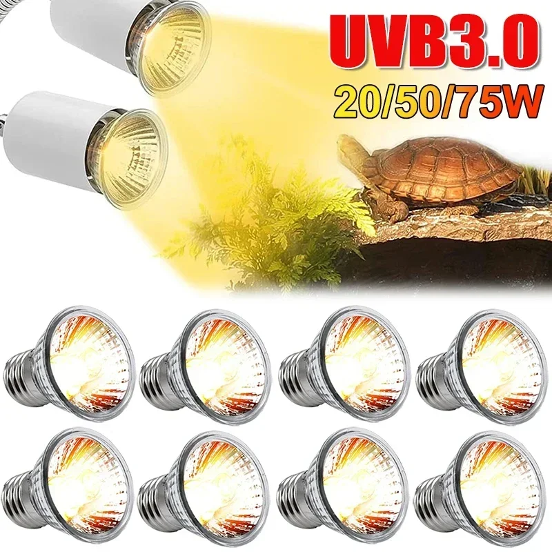 75/50/25W Tortoise Lizard Bask - Calcium Powder Reptile incelemesi ve fiyatı