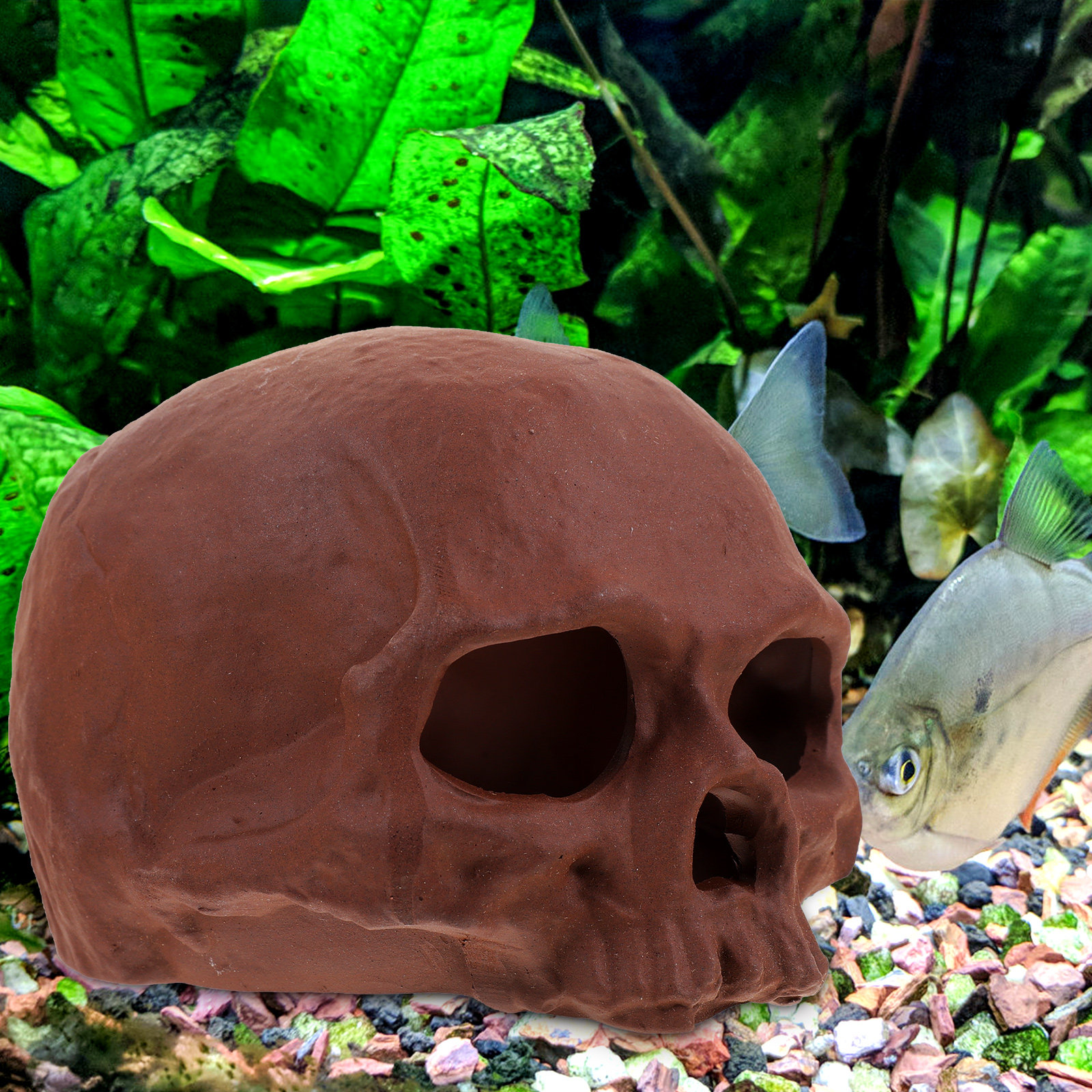 Ceramic Fish Tank Decoration S - Hide Cave Ceramic incelemesi ve fiyatı