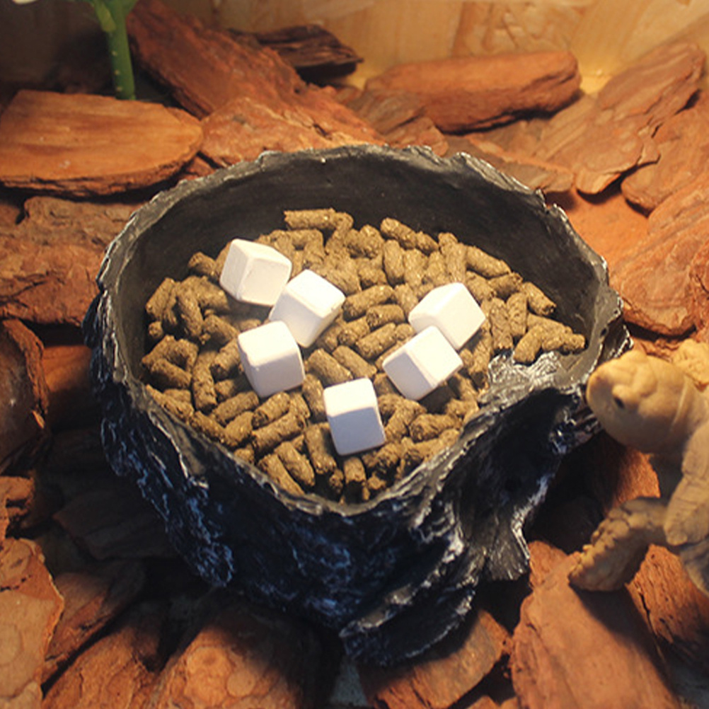 6Pcs Tortoise Tank Calcium Cub - Calcium Powder Reptile incelemesi ve fiyatı