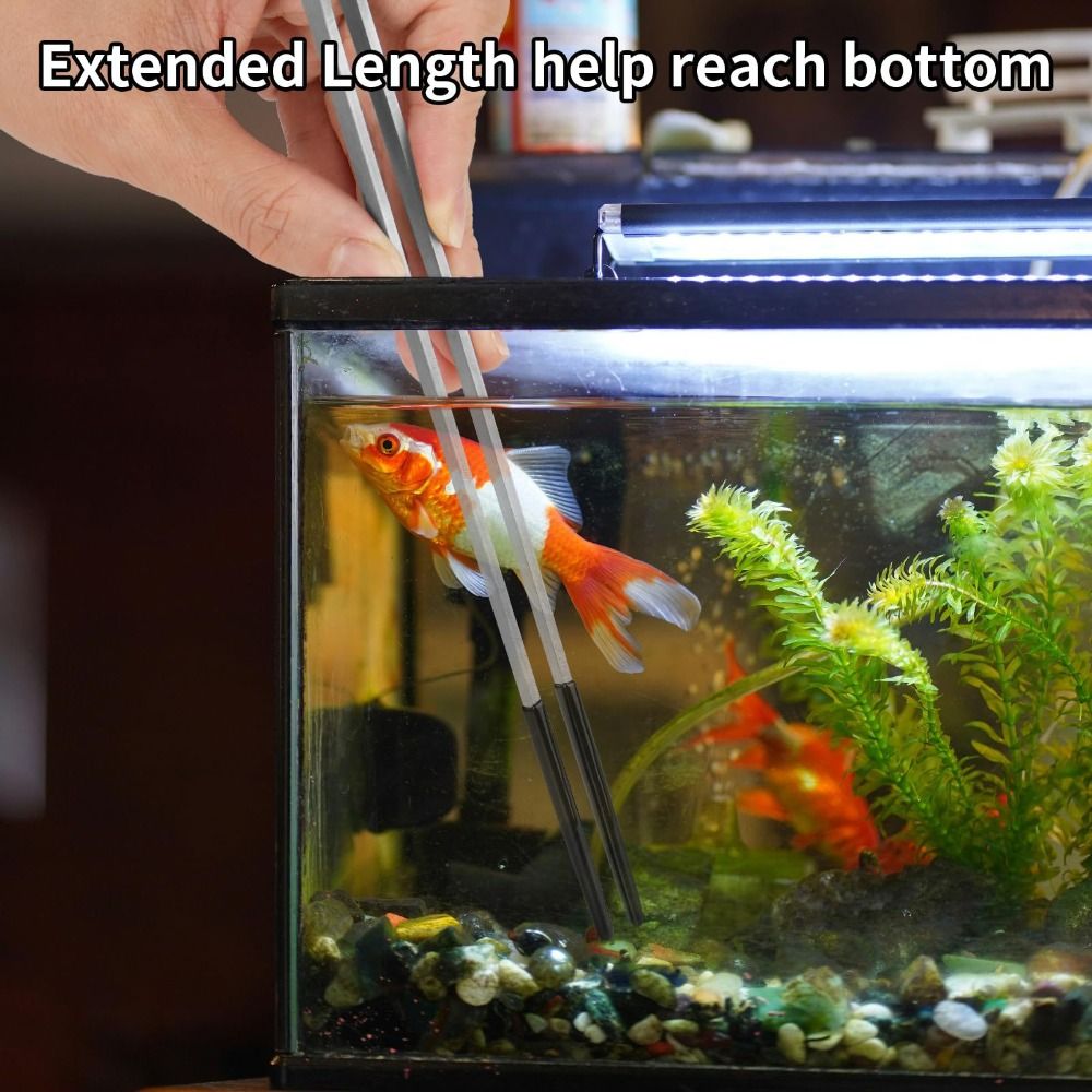 Stainless Steel Aquarium Feedi - Feeding Tong Stainless incelemesi ve fiyatı
