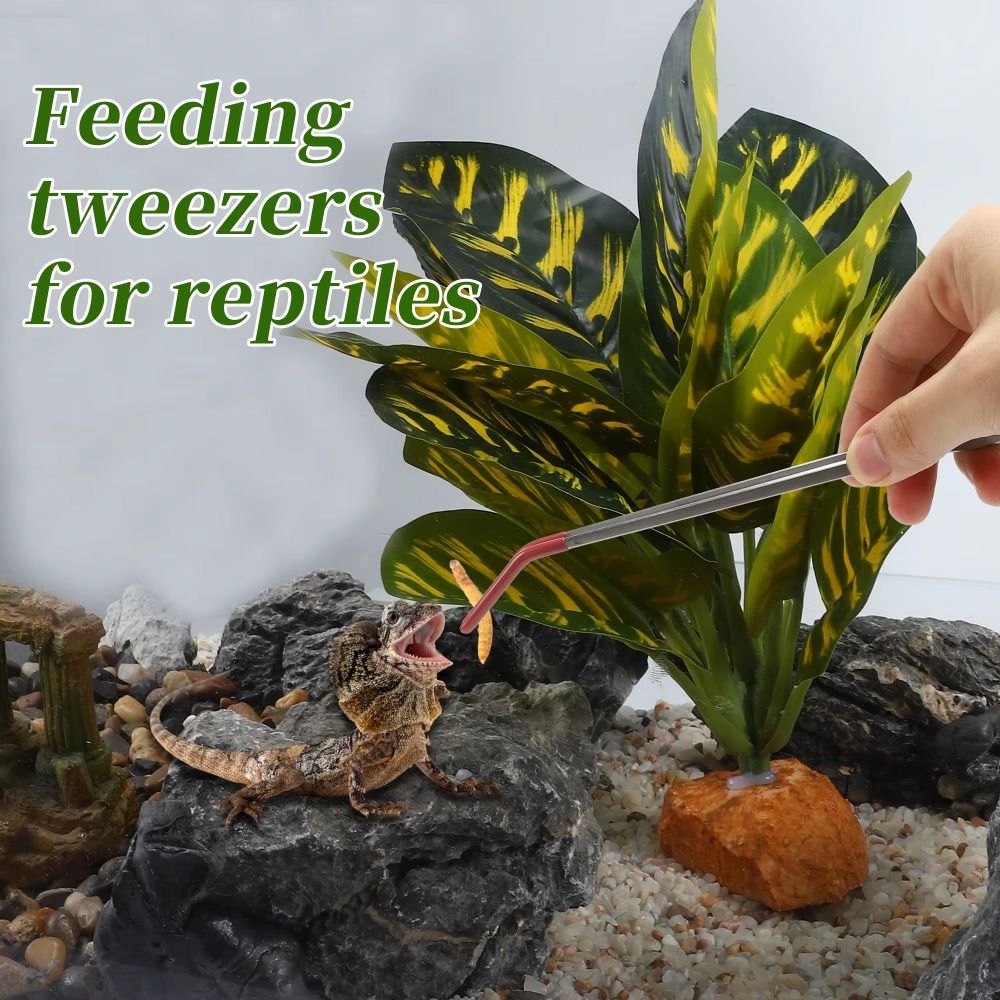 Stainless Steel Aquarium Feedi - Feeding Tong Stainless incelemesi ve fiyatı