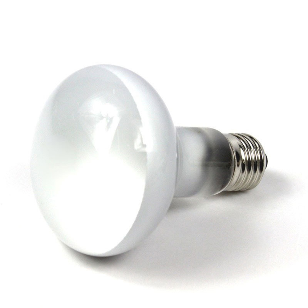 Lizard Heater Temperature Cont - Basking Bulb Halogen incelemesi ve fiyatı