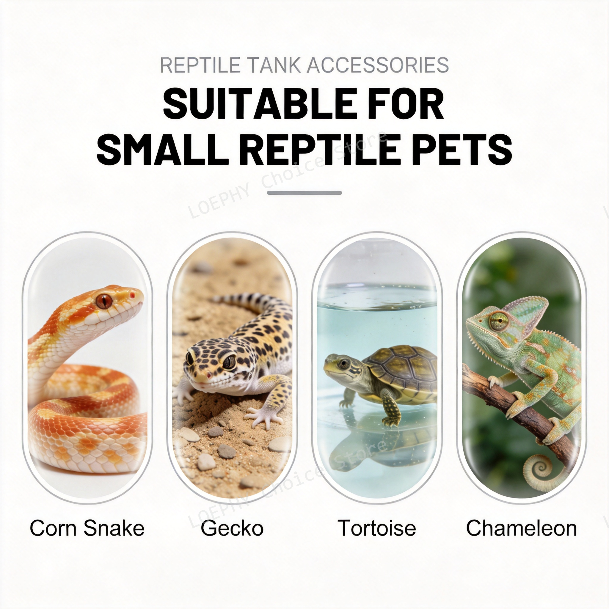 Castle Reptile Water Bowl Lion - Water Dish Reptile incelemesi ve fiyatı