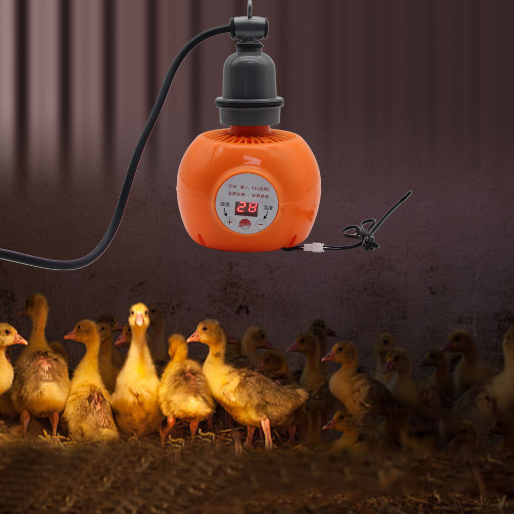 Pet Heater Animal Heating Lamp - Ceramic Heat Emitter incelemesi ve fiyatı