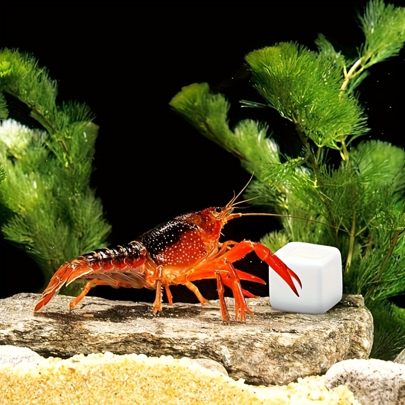 6 Pcs Fish Tank Calcium Block  - Calcium Powder Reptile incelemesi ve fiyatı