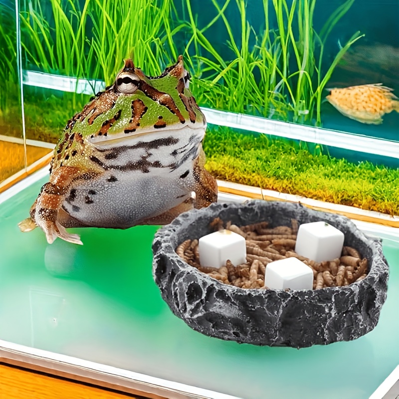 6 Pcs Fish Tank Calcium Block  - Calcium Powder Reptile incelemesi ve fiyatı