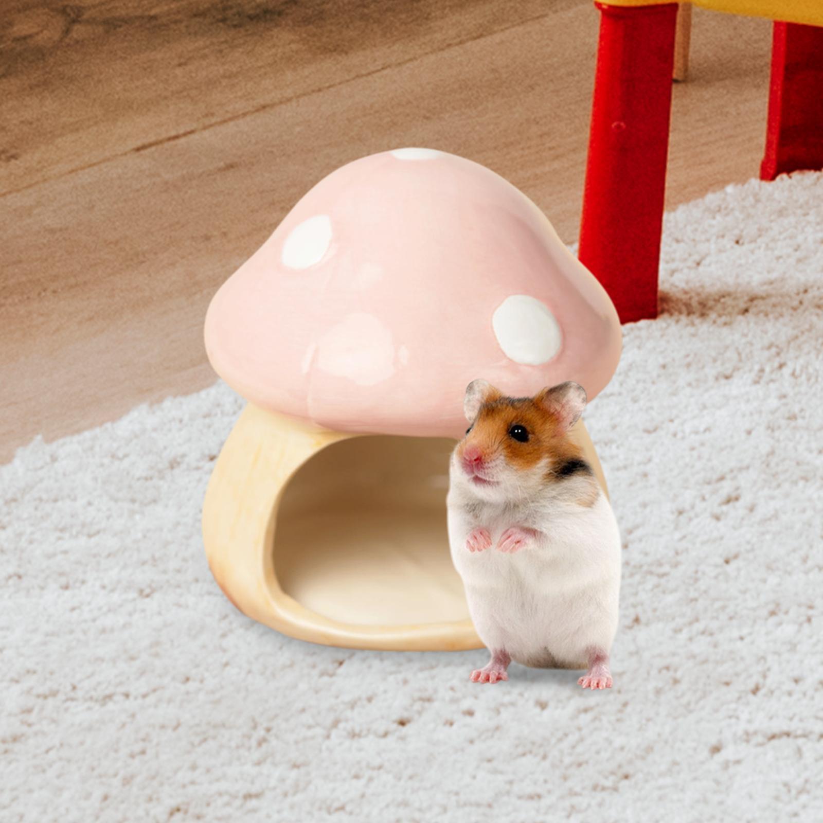 Ceramic Mushroom Hamster Hideo - Hide Cave Ceramic incelemesi ve fiyatı